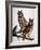 Audubon: Owl-John James Audubon-Framed Giclee Print