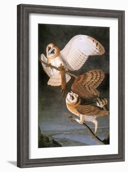 Audubon: Owl-John James Audubon-Framed Giclee Print