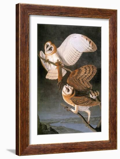 Audubon: Owl-John James Audubon-Framed Giclee Print