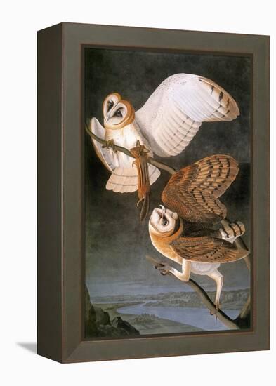 Audubon: Owl-John James Audubon-Framed Premier Image Canvas