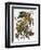 Audubon: Parakeet-John James Audubon-Framed Giclee Print