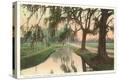 Stretched Canvas Print