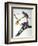 Audubon: Passenger Pigeon-John James Audubon-Framed Giclee Print