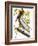 Audubon: Pelican-John James Audubon-Framed Giclee Print