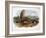 Audubon: Prairie Dog, 1844-John James Audubon-Framed Giclee Print