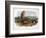 Audubon: Prairie Dog, 1844-John James Audubon-Framed Giclee Print