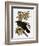 Audubon: Raven-John James Audubon-Framed Premium Giclee Print