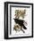 Audubon: Raven-John James Audubon-Framed Premium Giclee Print