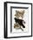 Audubon: Raven-John James Audubon-Framed Premium Giclee Print