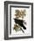 Audubon: Raven-John James Audubon-Framed Giclee Print