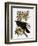 Audubon: Raven-John James Audubon-Framed Giclee Print