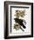 Audubon: Raven-John James Audubon-Framed Giclee Print