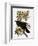 Audubon: Raven-John James Audubon-Framed Giclee Print