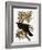 Audubon: Raven-John James Audubon-Framed Giclee Print