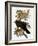 Audubon: Raven-John James Audubon-Framed Giclee Print