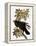 Audubon: Raven-John James Audubon-Framed Premier Image Canvas