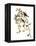 Audubon: Redpoll, 1827-John James Audubon-Framed Premier Image Canvas