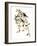 Audubon: Redpoll, 1827-John James Audubon-Framed Giclee Print