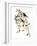 Audubon: Redpoll, 1827-John James Audubon-Framed Giclee Print