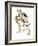 Audubon: Redpoll, 1827-John James Audubon-Framed Giclee Print