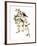 Audubon: Redpoll, 1827-John James Audubon-Framed Giclee Print