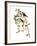 Audubon: Redpoll, 1827-John James Audubon-Framed Giclee Print