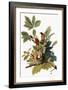 Audubon: Robin-John James Audubon-Framed Giclee Print