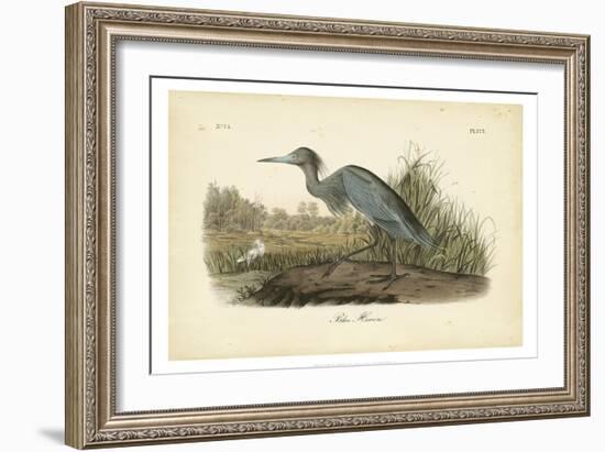 Audubon's Blue Heron-John James Audubon-Framed Art Print