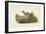 Audubon's Blue Heron-John James Audubon-Framed Art Print