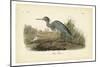 Audubon's Blue Heron-John James Audubon-Mounted Art Print