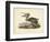 Audubon's Brown Pelican-John James Audubon-Framed Art Print