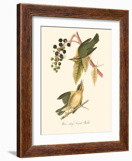 Audubon's Warbler-John James Audubon-Framed Art Print