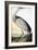 Audubon: Sandhill Crane-John James Audubon-Framed Giclee Print