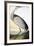 Audubon: Sandhill Crane-John James Audubon-Framed Giclee Print