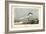 Audubon Sandwich Tern-John James Audubon-Framed Art Print
