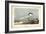 Audubon Sandwich Tern-John James Audubon-Framed Art Print