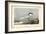 Audubon Sandwich Tern-John James Audubon-Framed Art Print