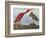 Audubon: Scarlet Ibis-John James Audubon-Framed Giclee Print