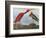 Audubon: Scarlet Ibis-John James Audubon-Framed Giclee Print