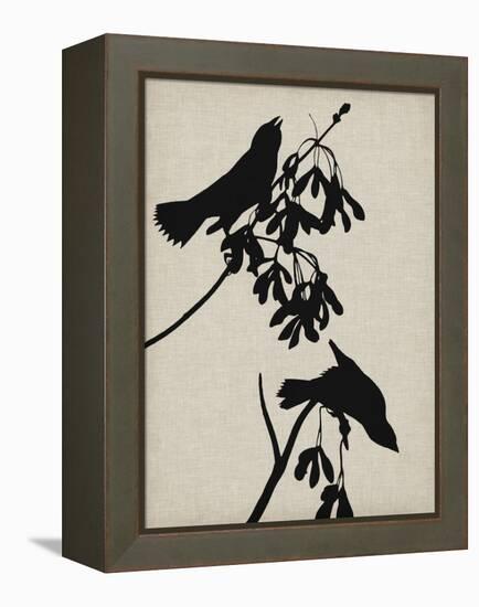 Audubon Silhouette VI-Vision Studio-Framed Stretched Canvas