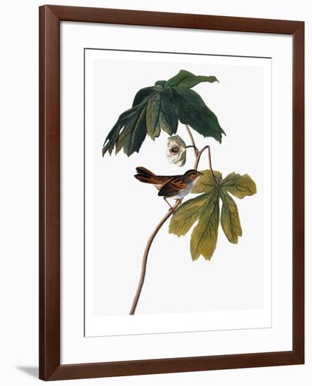 Audubon: Sparrow, 1827-38-John James Audubon-Framed Premium Giclee Print