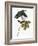 Audubon: Sparrow, 1827-38-John James Audubon-Framed Giclee Print