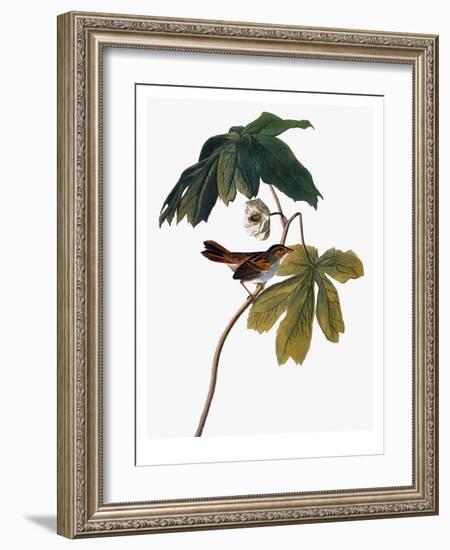 Audubon: Sparrow, 1827-38-John James Audubon-Framed Giclee Print