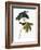 Audubon: Sparrow, 1827-38-John James Audubon-Framed Giclee Print