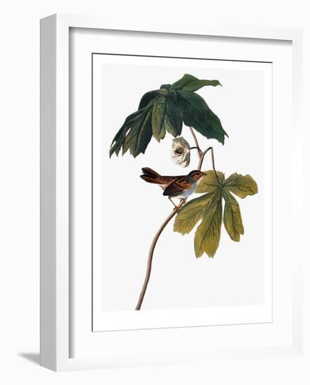 Audubon: Sparrow, 1827-38-John James Audubon-Framed Giclee Print