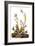 Audubon: Sparrow, 1827-38-John James Audubon-Framed Giclee Print