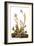 Audubon: Sparrow, 1827-38-John James Audubon-Framed Giclee Print