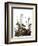 Audubon: Sparrow, 1827-38-John James Audubon-Framed Giclee Print