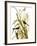 Audubon: Sparrow, 1827-John James Audubon-Framed Giclee Print