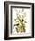 Audubon: Sparrow, 1827-John James Audubon-Framed Giclee Print